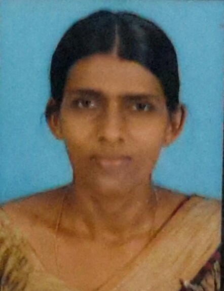 palugaswewa1