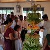 Cultural Day Programme